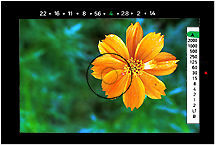 sample1.jpg