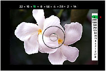 sample2.jpg