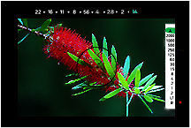 sample3.jpg