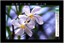 Sample7.jpg