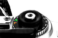Shutter Button.jpg