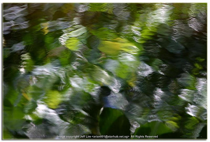 Mystic by Jeff Lim, Sinapaore (88k Jpeg) Loading ...