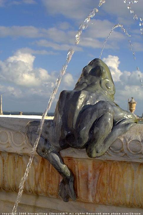 Froggie in the sun..  80k Jpeg Loading ....