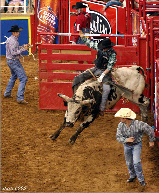 Rodeo .. Canon EF 75-300mm f/4~5.6 MK III, 1999