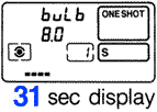lcd31sec.gif