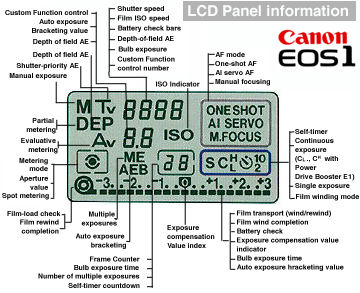 LCD Display Illustration.jpg (38k) Loading ....