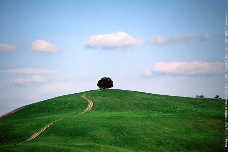 Tuscany Loniness. photography by Roberto Carli from Toscana, Italy