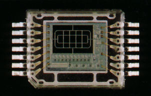 Canon 16 zone Sensor Chips