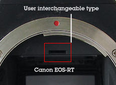 Canon EOS-RT focusing screen section