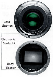 contactsection.jpg