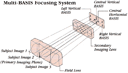 basisillus.gif