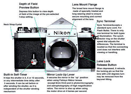 Main Body Front View.gif (11k) See if Pdf file is more viable...