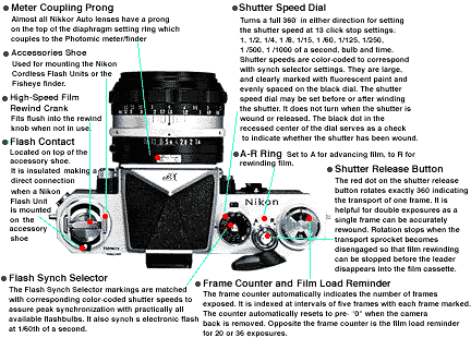 Main Body Yop View.gif