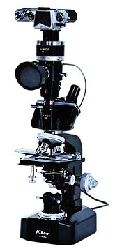 Microflex.jpg (18k)
