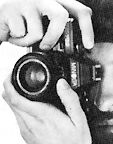 focusillus2.jpg