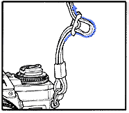strap2.gif