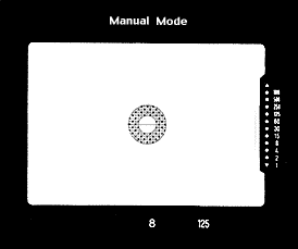 Manual Mode viewinfo.gif