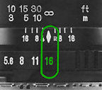 Fig 2.jpg (6k)