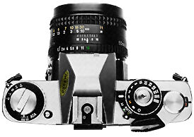Topview.jpg (13k)
