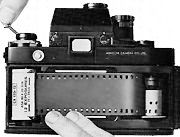 backinsert.jpg