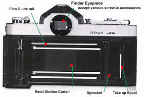 Back View.jpg (15k)