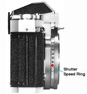 Side View (Left) .jpg (8k)