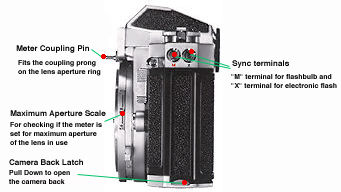 Side View (right).jpg (12k)