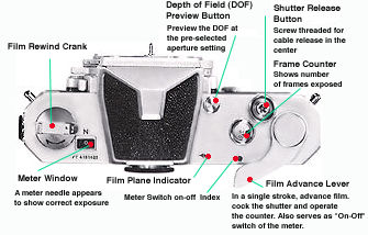 Top View.jpg (22k)