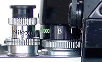 Shutter Spedring.jpg