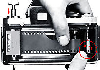Insetfilm.jpg