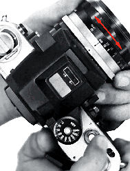 Shutter Release.jpg