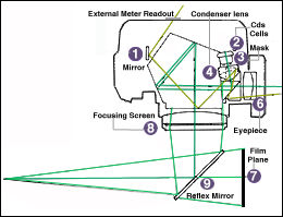 DP-1 Illus.jpg