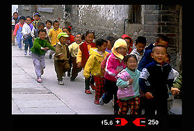 viewinfof2kidmsm.jpg