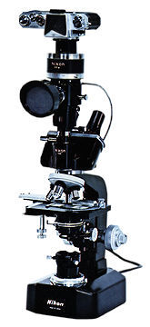 microflex.jpg