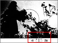 illus1.jpg