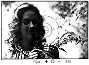 illus2.jpg