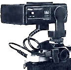 SF-1.jpg