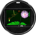 Eyepiece.jpg