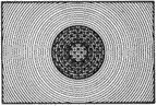 ScnType-G.gif