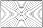 ScnType-L.gif