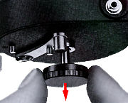 Pull.jpg