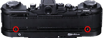 Full backview.jpg