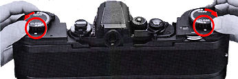 Full Backview.jpg