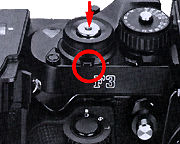 Shutter Release.jpg