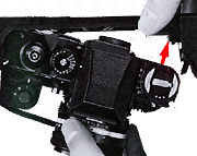 Back Attach.jpg