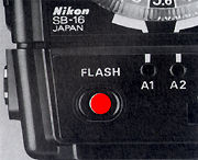 Readylight.jpg