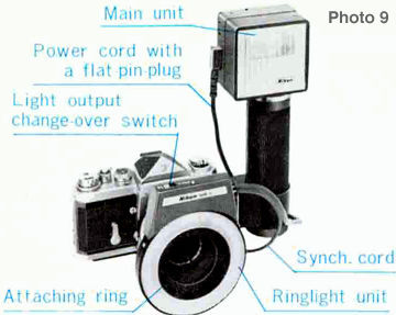 sb1image9.jpg