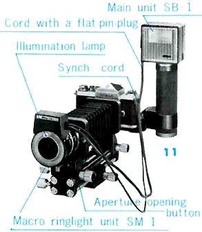 sb1image9f.jpg
