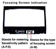 Canon Screen Info.jpg