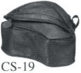 caseCS19.jpg